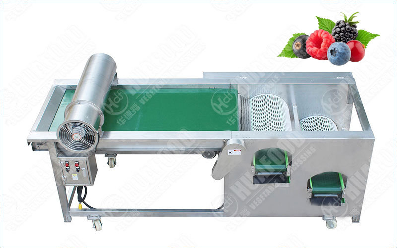 blueberry grading machine