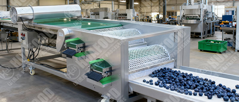 blueberry grading machine details in factory