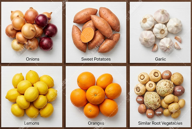 grader root vegetable applications