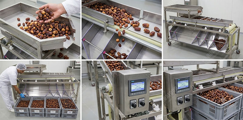 date fruit sorter details