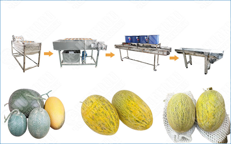hami melon washing and drying machine