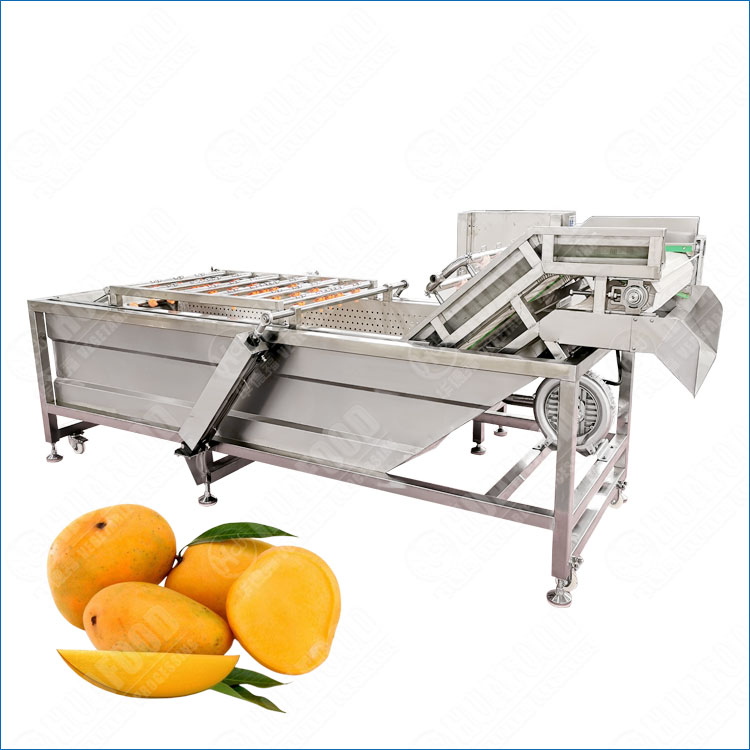 Efficient Mango Fruits Bubble Washing Machine with Ozone Sterilizer
