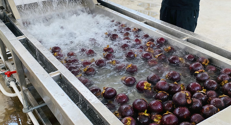 mangosteen bubble washing machine