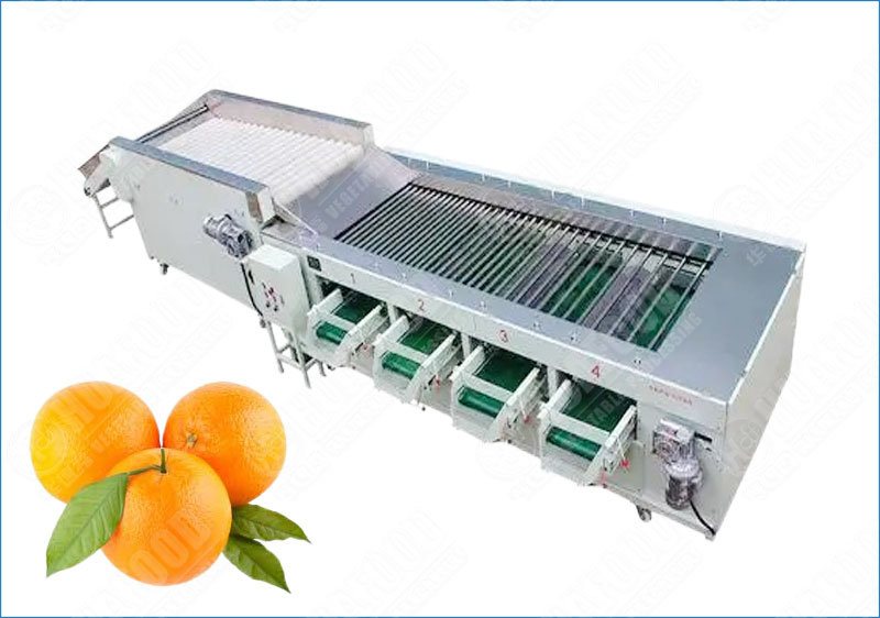 orange grading machine