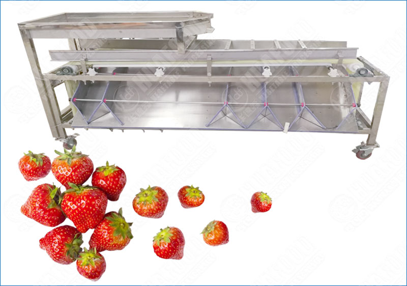 strawberry grading machine