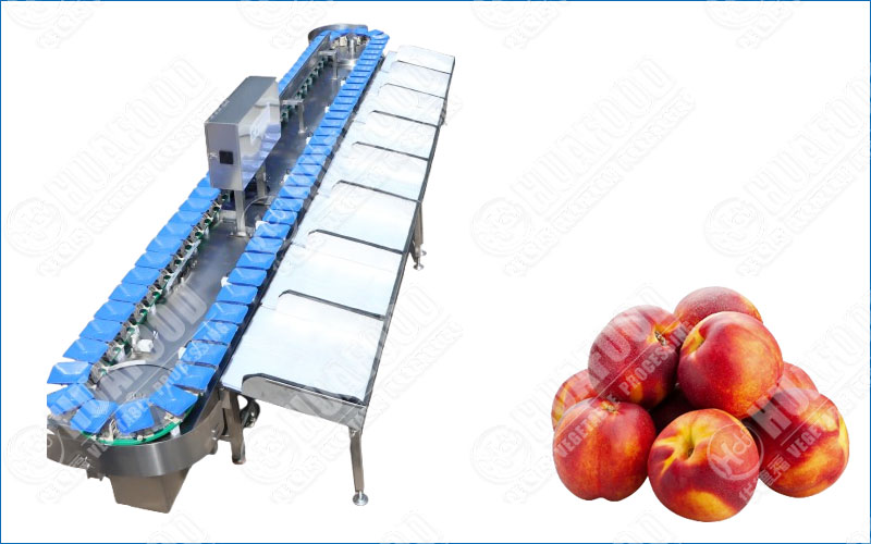 Nectarine Fruit Weight Sorting Machine