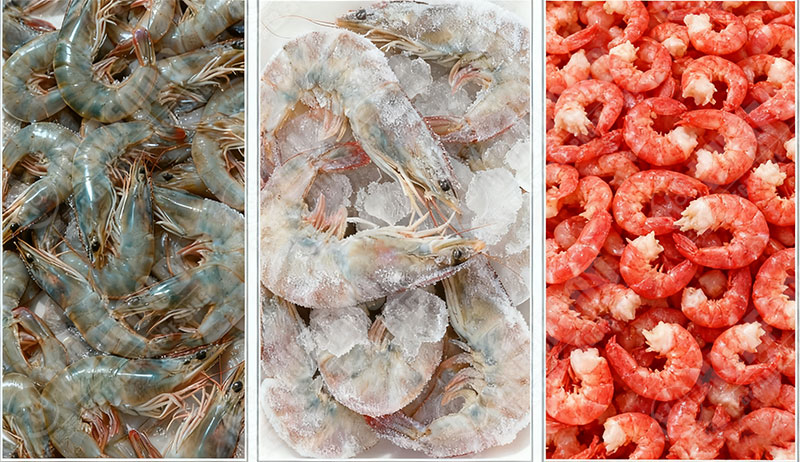 application different conditions shrimp