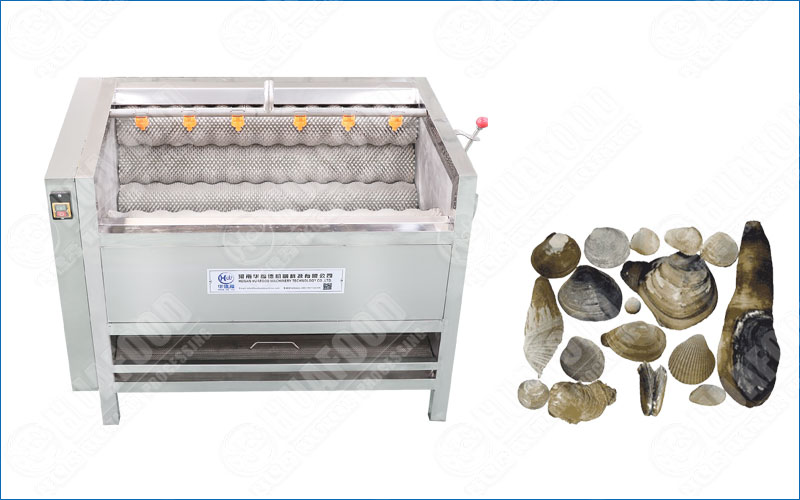 clam washing machine