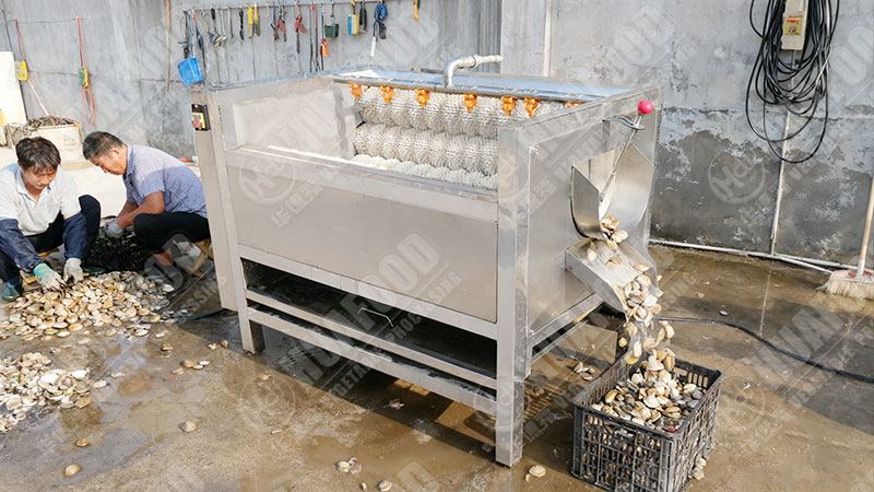 clam washing machine working details