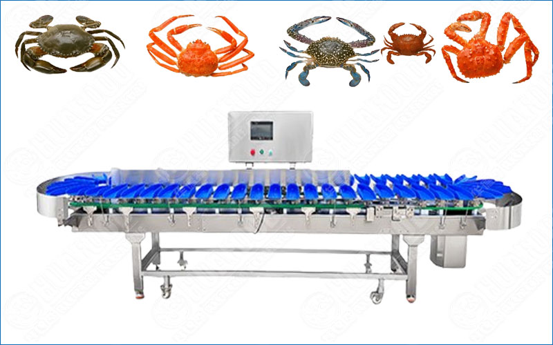 crab sorting machine