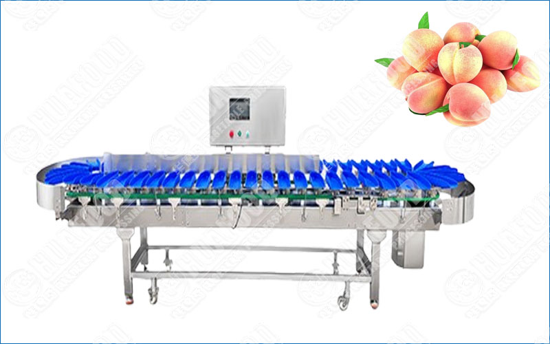 peach sorting machine