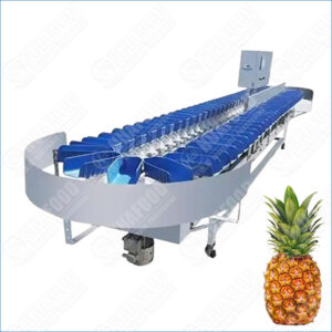 pineapple sorting machine