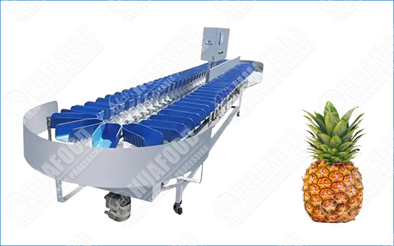 pineapple sorting machine