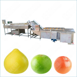 pomelo washing machine