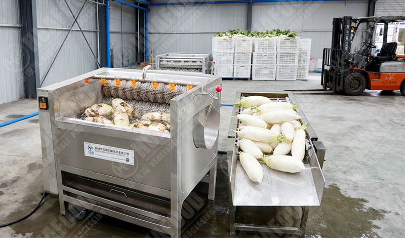 radish washing machine details