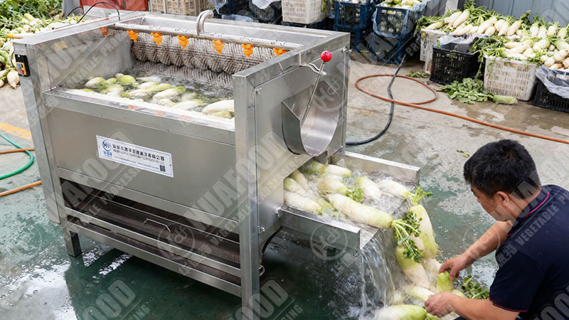 radish washing machine details in factory