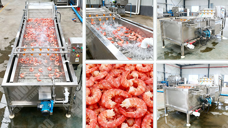 shrimp washing machine details in factory