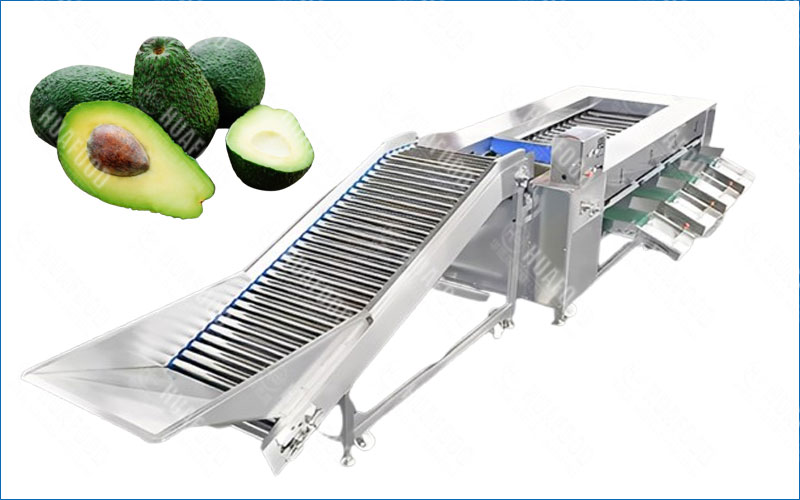 avocado sorting machine