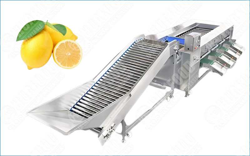 lemon grading machine