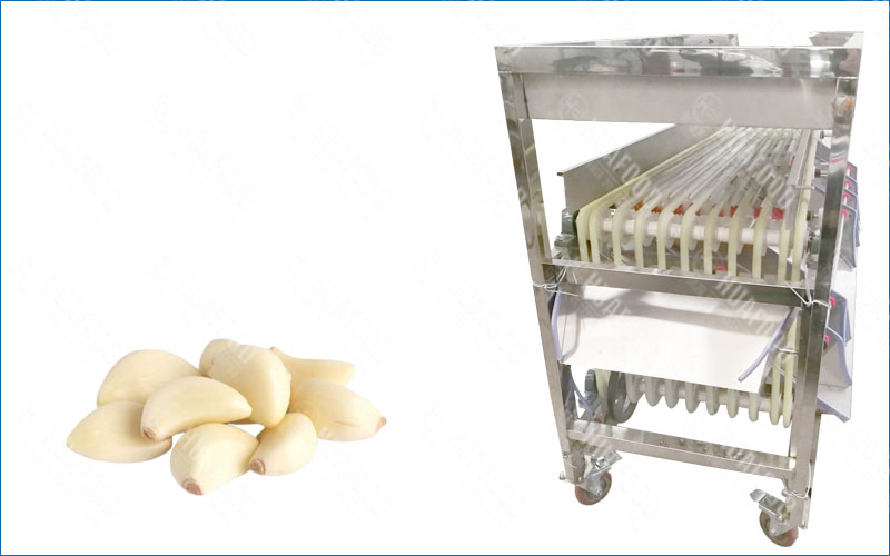 peeled garlic clove grading machine