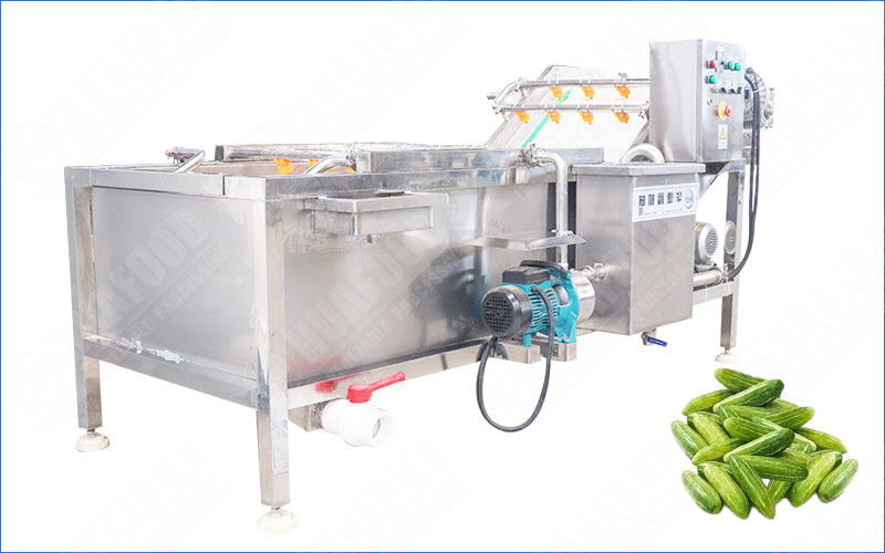 ivy gourd washing machine