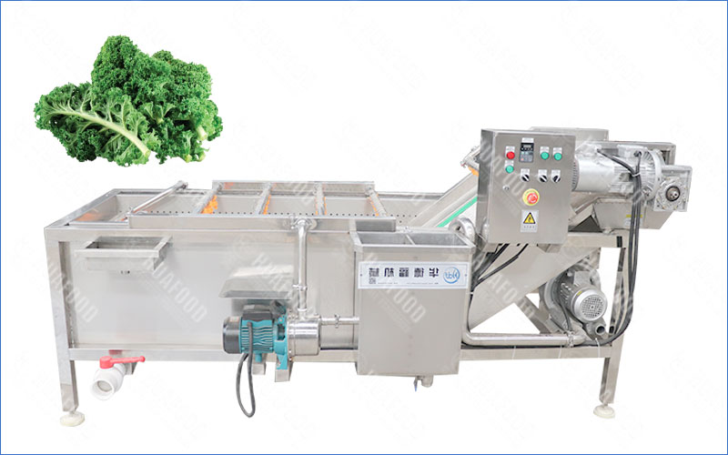kale washing machine