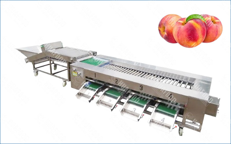 peach fruits grading machine