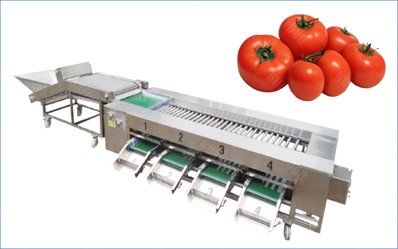 tomato sorting and grading machine
