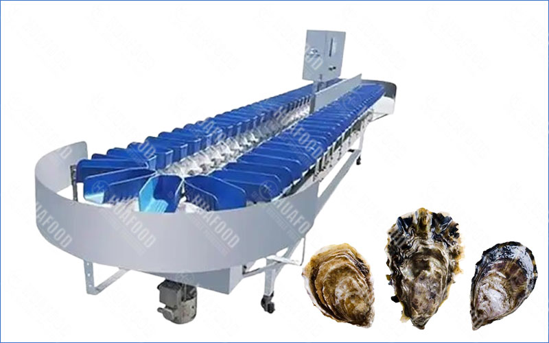 oyster grading machine