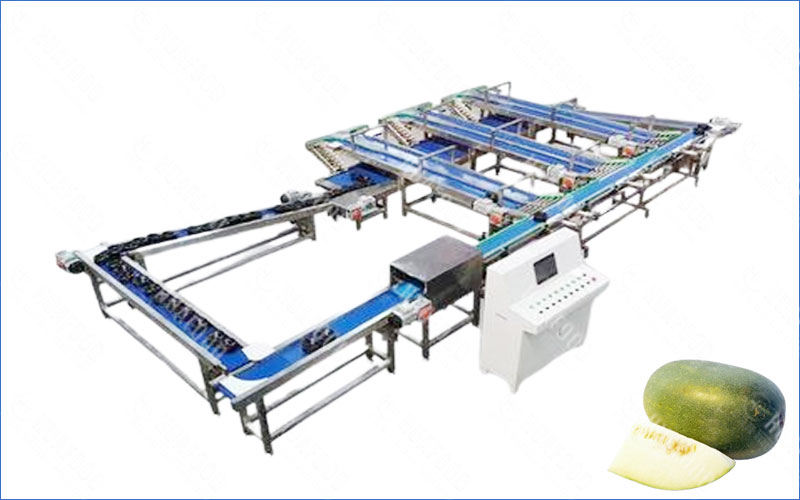 winter melon grading machine