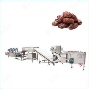 machine de nettoyage de fruits de palmier dattier date palm fruit cleaning machine