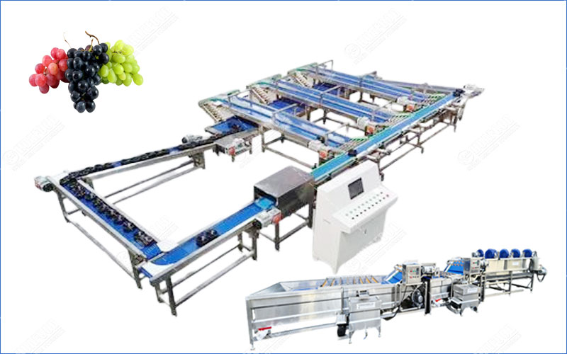 линия очистки винограда