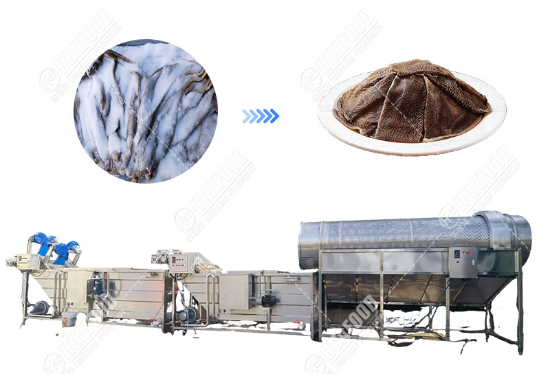 omasum washing machine