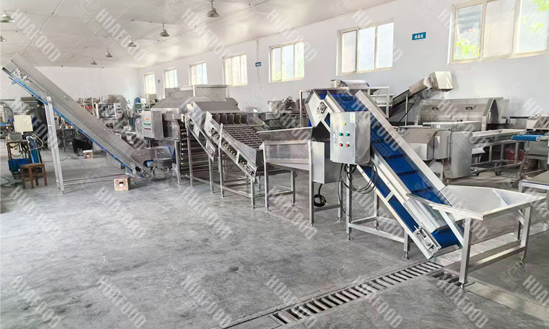 peeling machine machine details