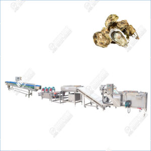 oyster cleaning and grading machine