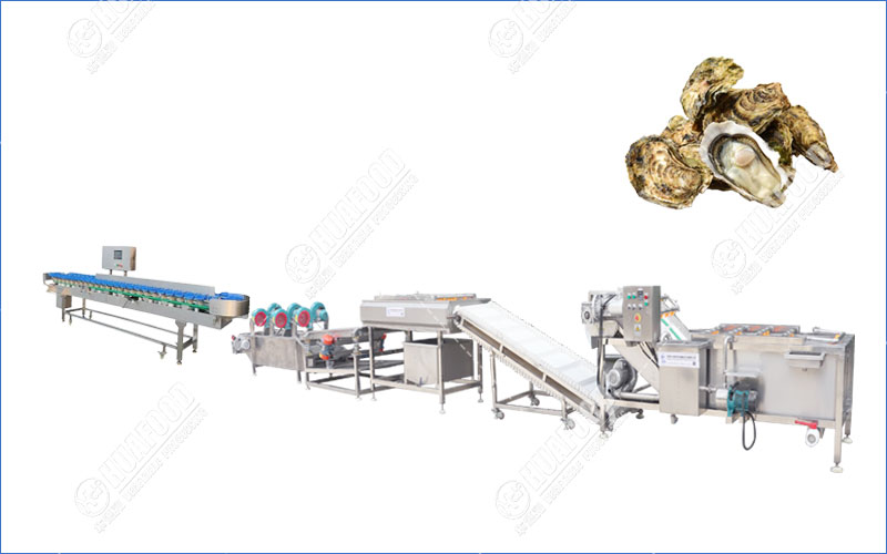 oyster cleaning and grading machine