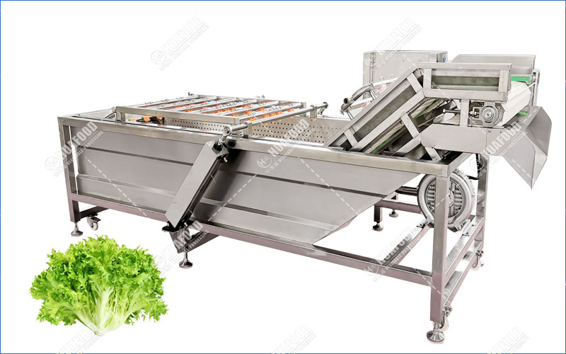 Endive Vegetable Bubble Washing Machine