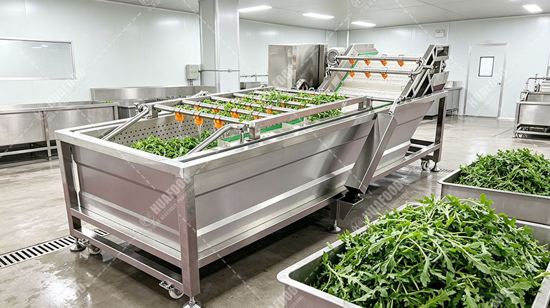 arugula cleaning machine details