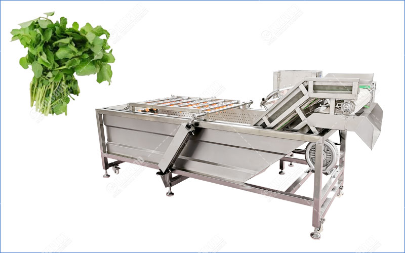 lavatrice per crescione