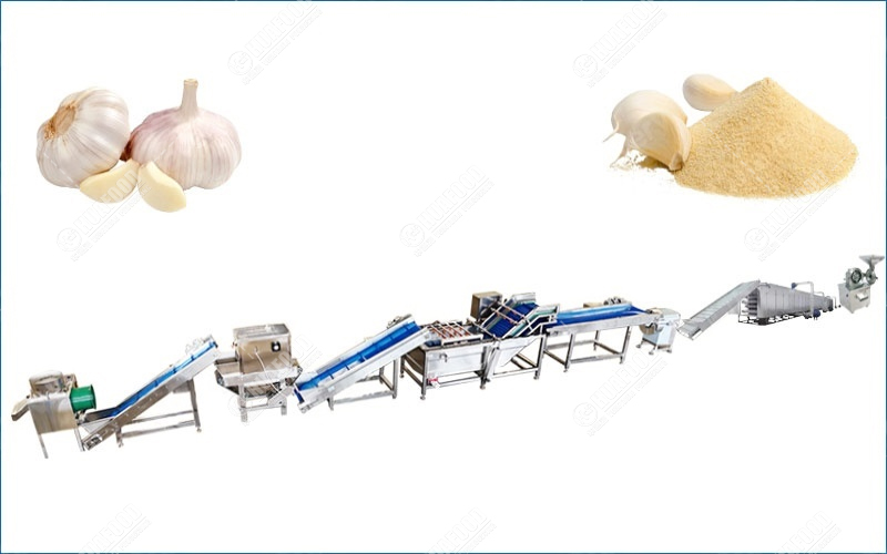 linea di produzione in polvere di aglio