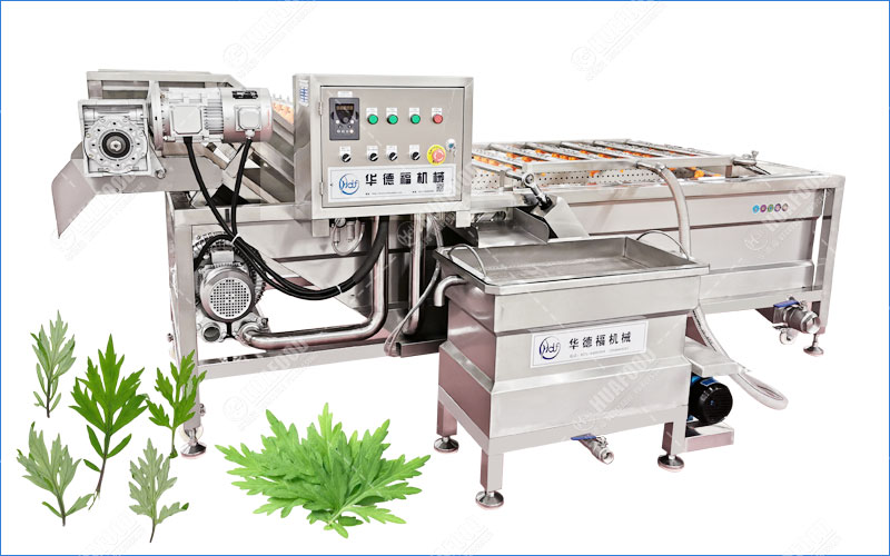 mugwort washing machine