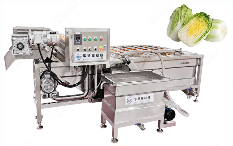 napa cabbage washing machine