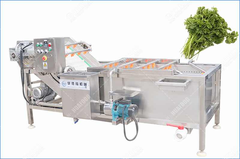 paserly vegetable washing machine
