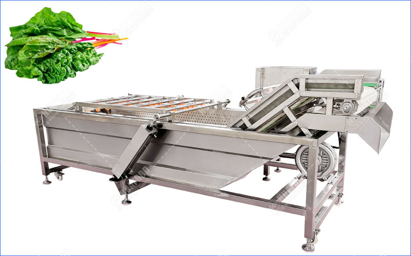 swiss chord washing machine
