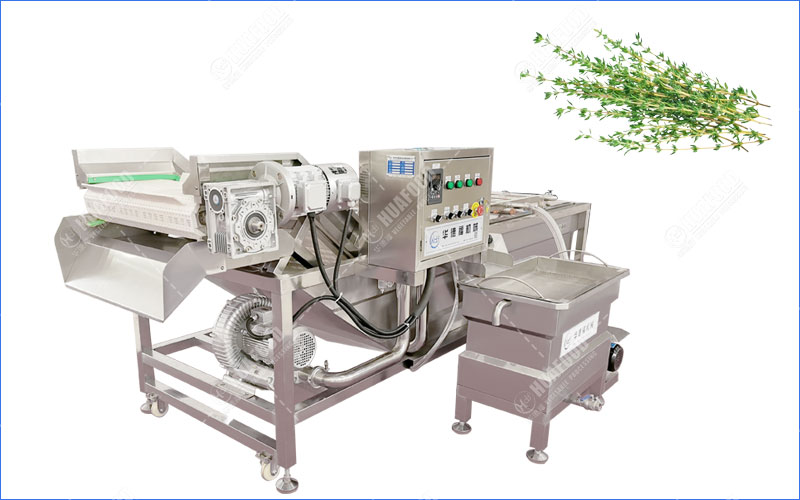thyme washing machine
