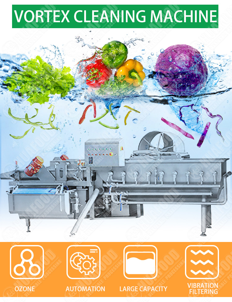 Automated Leafy Vegetable Fruit Lettuce Cabbage Bubble Washing Ozone Washer  Cleaning Machine - China Ozone Vegetable Washer, Ozone Fruit and Vegetable  Washing Machine