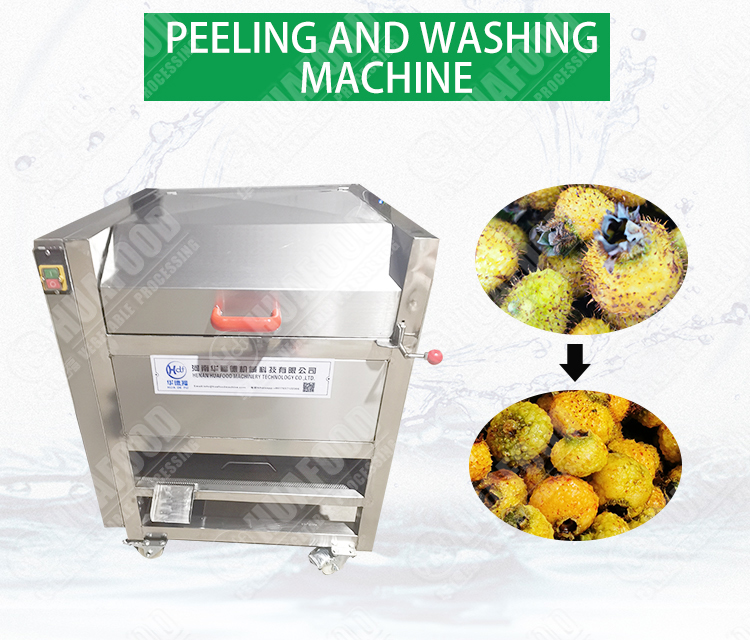 Potato Peeler, Potato Washing and Peeling, Potato Peeling Machine