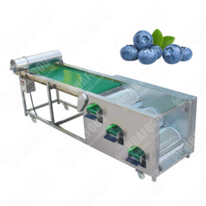 blueberry sorting machine