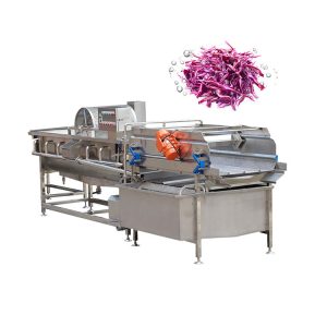 Salad vegetable washing line