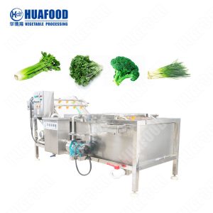 vegetable washing machine
